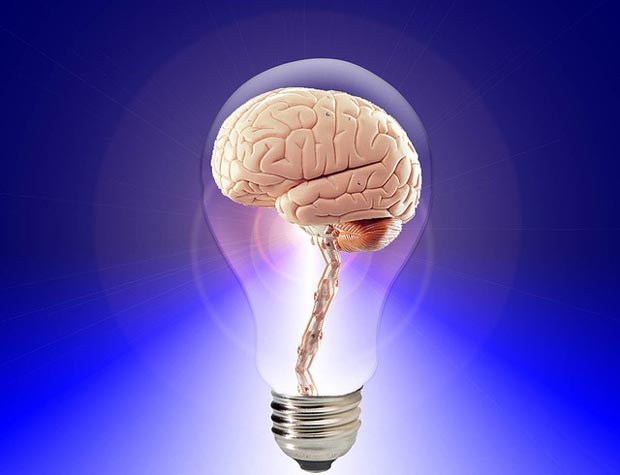 Das menschliche Gehirn kann genug Energie erzeugen, um eine kleine Glühbirne zum Leuchten zu bringen
