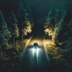A car is driving on the road at night in the forest.