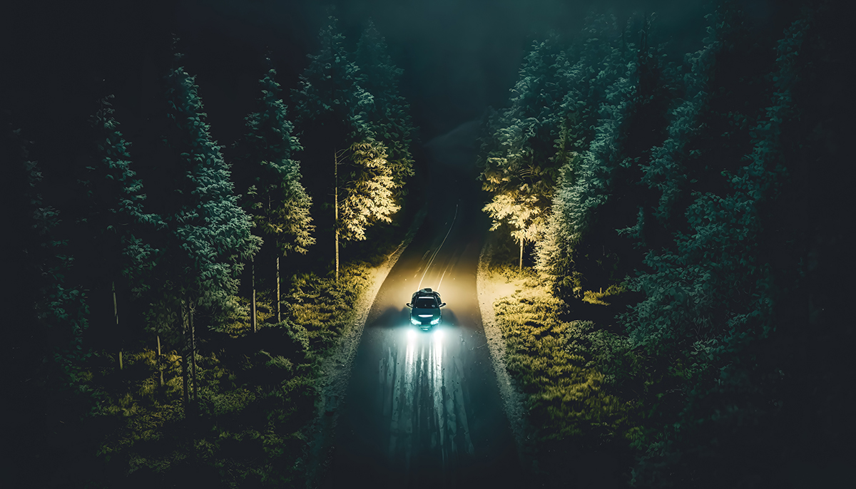 A car is driving on the road at night in the forest.