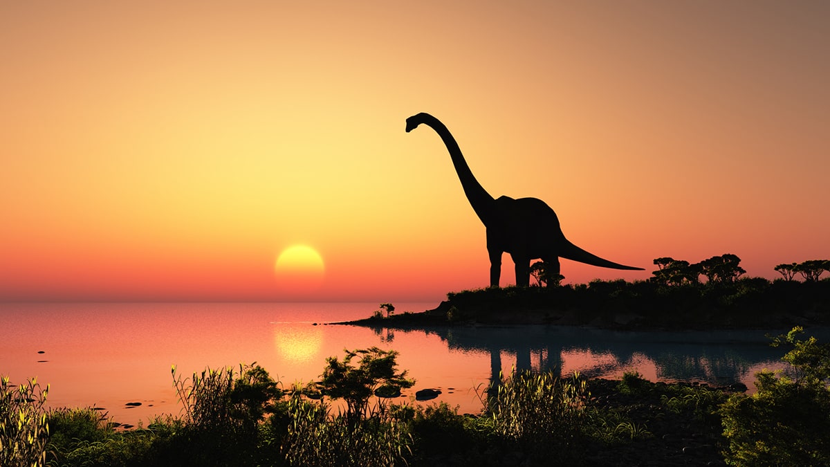 Flera intressanta fakta om dinosaurier