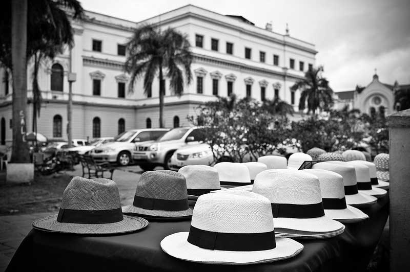 Fakta: Panamahatten kommer ursprungligen från Ecuador