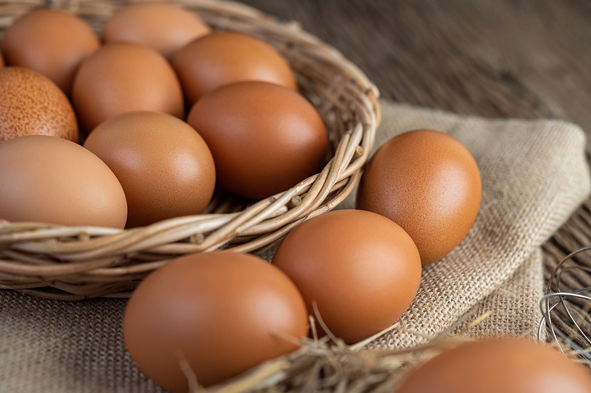 Interessante Fakten über Eier