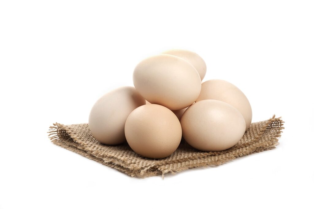 Eier gibt es in vielen Größen und Farben