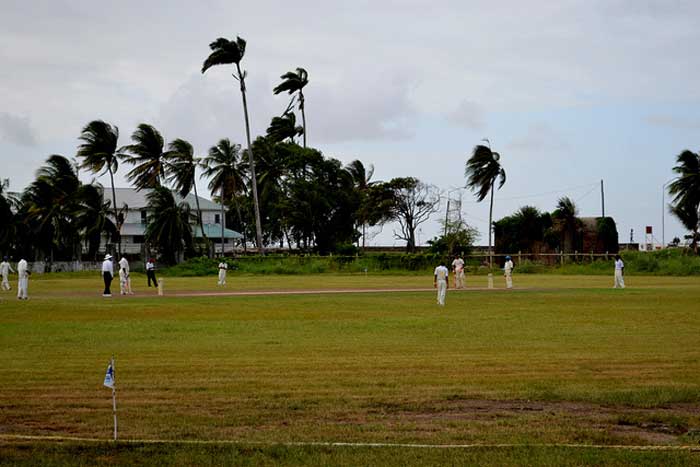 Fakta: Cricket er Guyanas nationalsport.