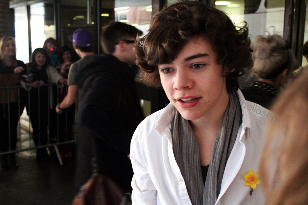 Totta faktoja Harry Stylesista