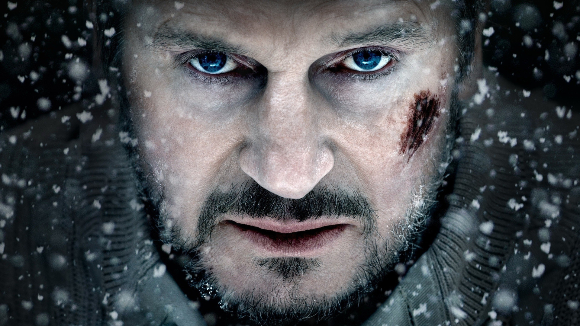 Liam Neeson: Fünf Furiose Fakten Über Den Action Helden – Exklusiv Enthüllt! - 0omd9x9