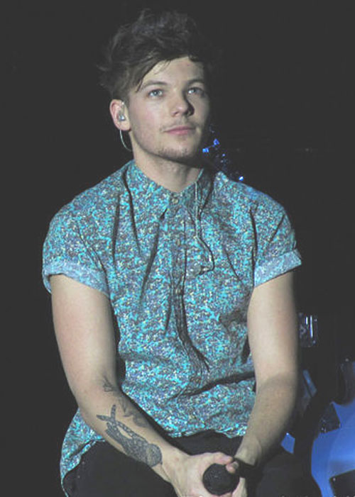 Fakta: Louis Tomlinson on hyvin tarkka hiuksistaan; häneltä menee puoli tuntia niiden muotoiluun!