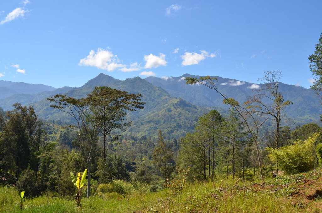 Fakten über Papua-Neuguinea
