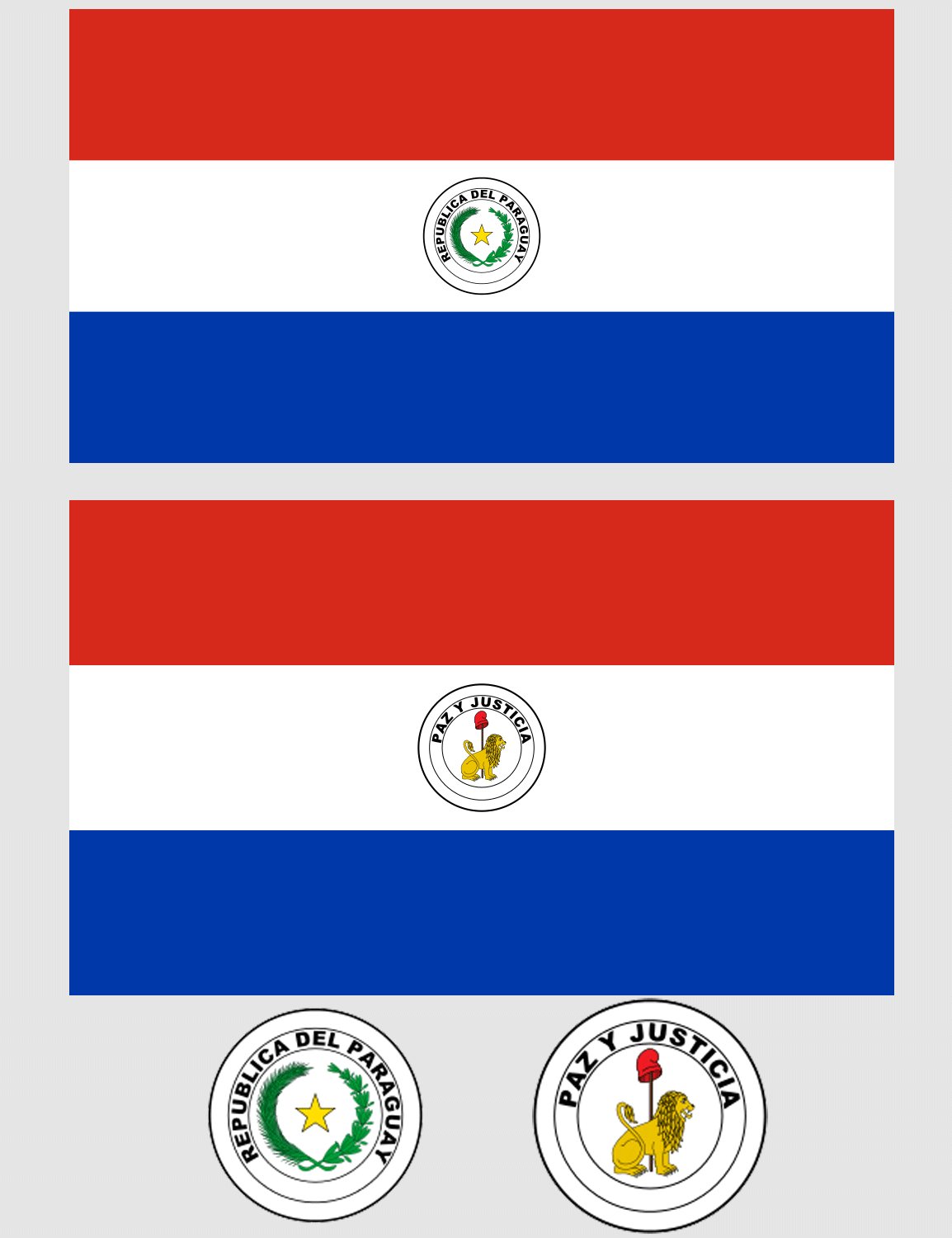 Fakta: Paraguays flag er ikke ens på begge sider