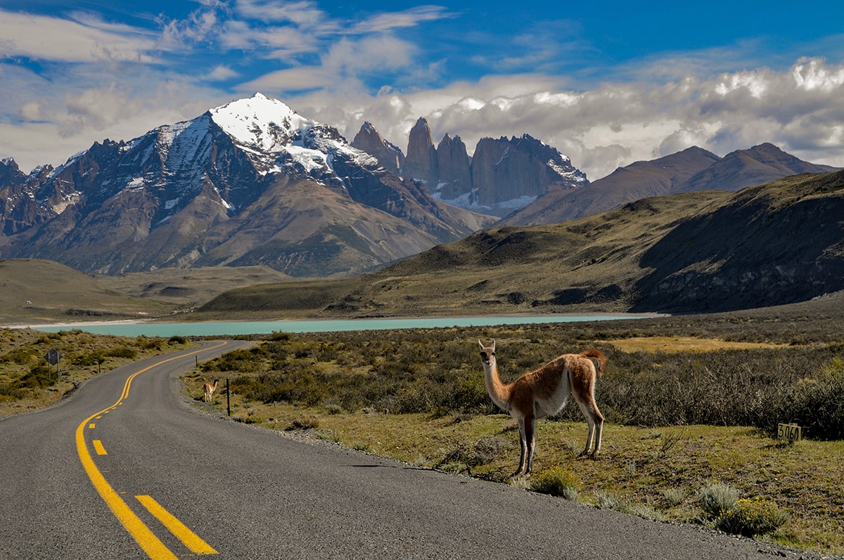 Nationalparken Torres del Paine i Chile